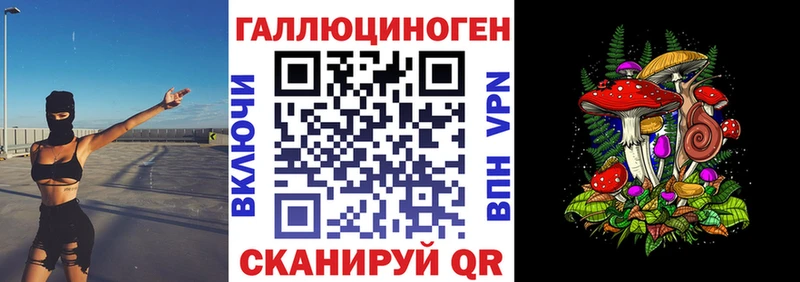 Галлюциногенные грибы Psilocybe  Богучар 